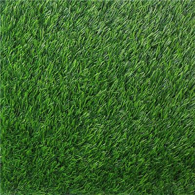 landscape grass 7.2777