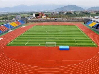 Runway Used Artificial Grass