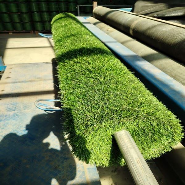 small piece grass